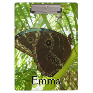 Porte-bloc Photo de la nature du papillon bleu Morpho