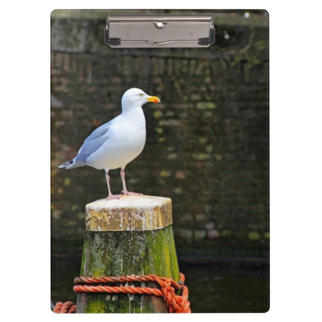 Porte-bloc Photo de mouette côtière et de faune océanique (Devant)