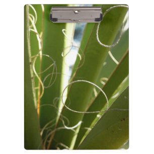 Porte-bloc Photographie de la nature verte Feuille du Yucca