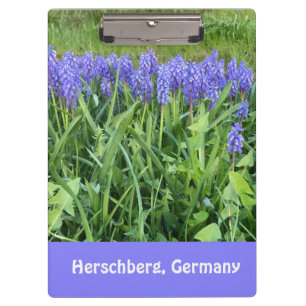 Porte-bloc Photographie de Violet Bluebells - Herschberg, All