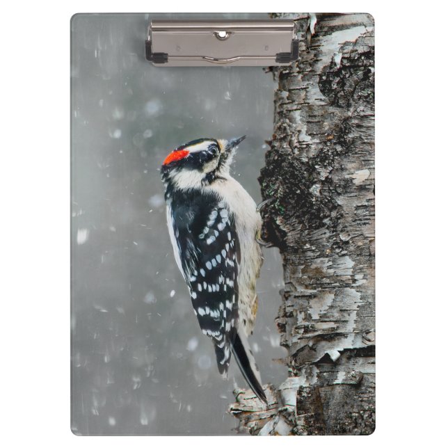 Porte-bloc Pic Downy en neige - Photo originale (Devant)