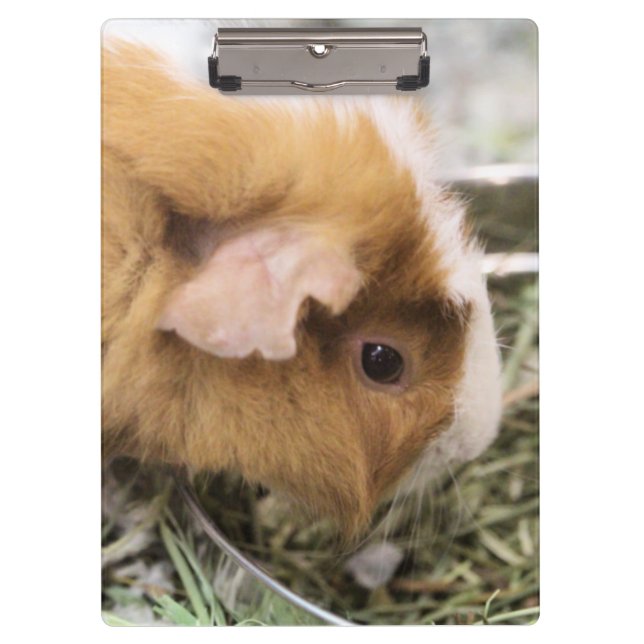 Porte-bloc Piggy (Devant)