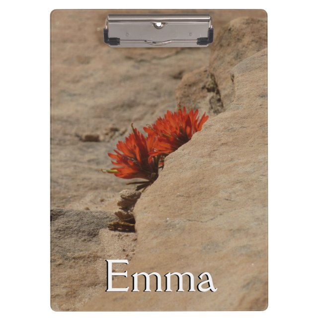 Porte-bloc Pinceau indien dans les rochers à Zion (Devant)