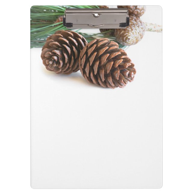 Porte-bloc Pine branch and cones (Devant)