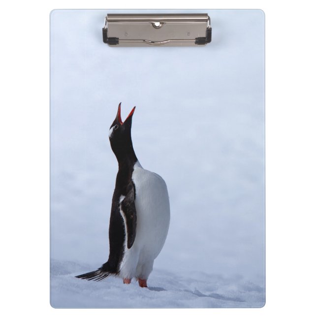 Porte-bloc Pingouin Gentoo (Devant)