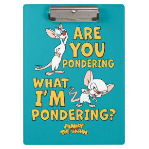 Porte-bloc Pinky et le cerveau   Vous Pensez ?