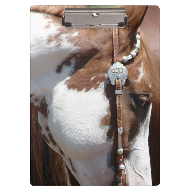 Porte-bloc Pinto occidental (Devant)