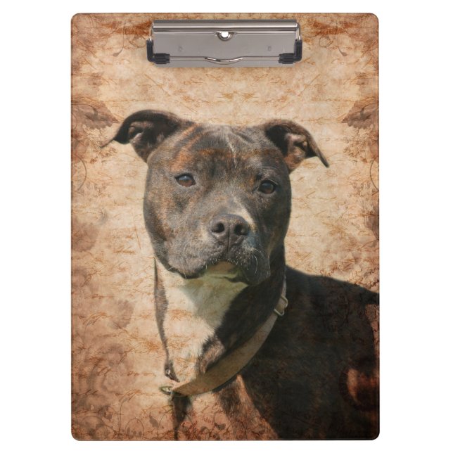 Porte-bloc Pitbull Brindle (Devant)