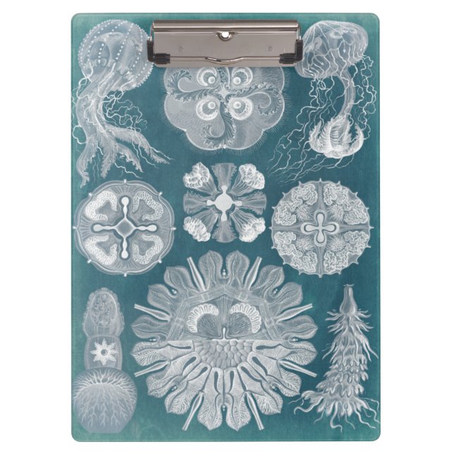 Porte-bloc Plan directeur de la vie marine IV (Devant)