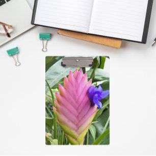 Porte-bloc Plante floral rose Tropical Quill