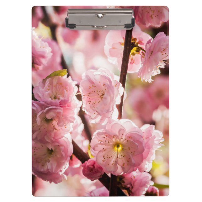 Porte-bloc Plum à fleurs - Paradize rose (Devant)