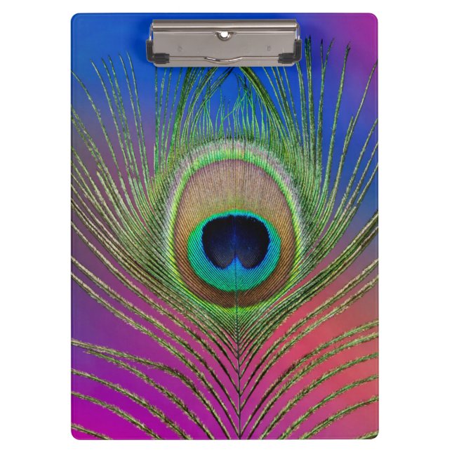 Porte-bloc Plume de queue d'un paon (Devant)