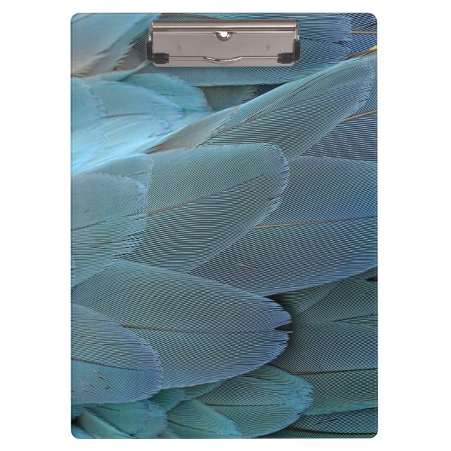 Porte-bloc Plumes bleues (Devant)