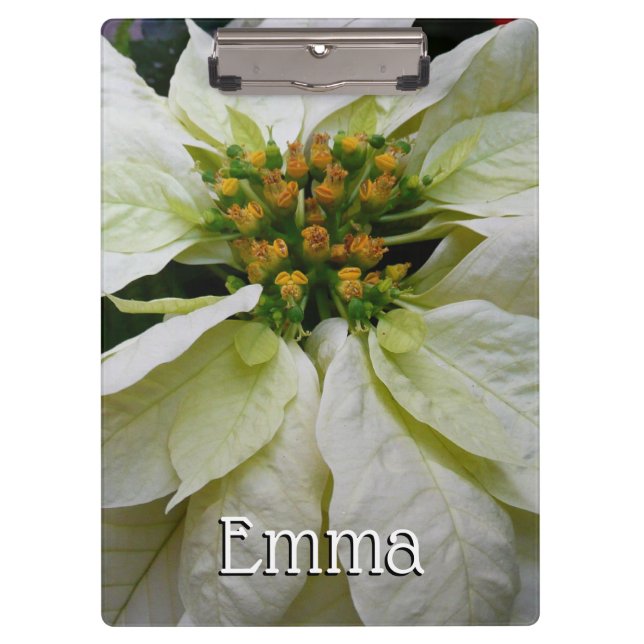 Porte-bloc Poinsettia Elegant Christmas Holiday Floral (Devant)