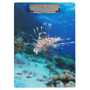 Porte-bloc Poisson lion ou Pterois Miles, Poisson de récif oc