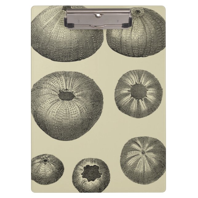 Porte-bloc Poisson noir et blanc (Devant)