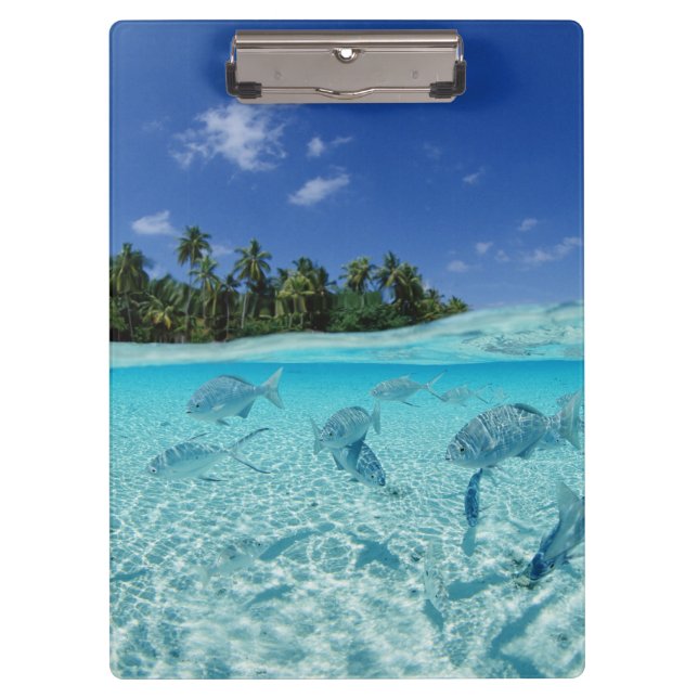 Porte-bloc Poissons en mer (Devant)