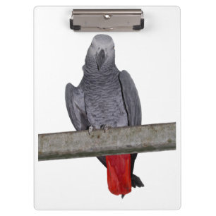 Porte-bloc Polly Porte - bloc (choisir la couleur)