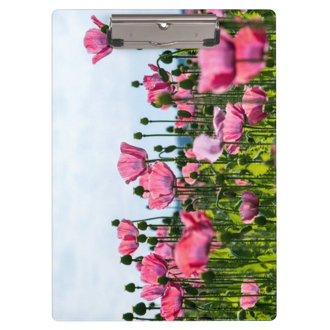 Porte-bloc Poppies roses (Devant)