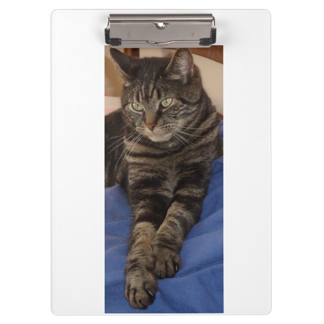 Porte-bloc Porte - bloc A4 Regal Dave Ultra Sturdy (Devant)