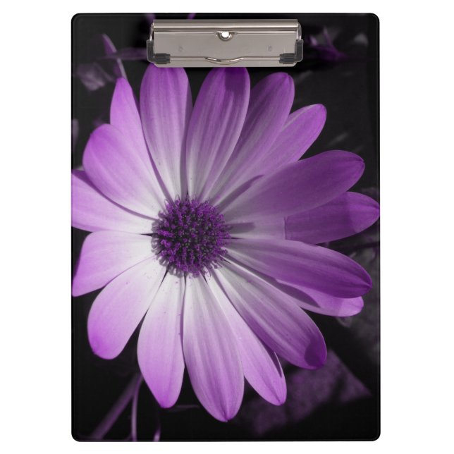 Porte-bloc Porte - bloc à fleurs pourpre (Devant)
