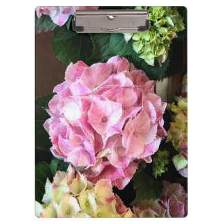 Porte-bloc Porte - bloc assez rose de Hygrangea