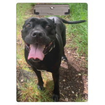 Porte - bloc Cane Corso X