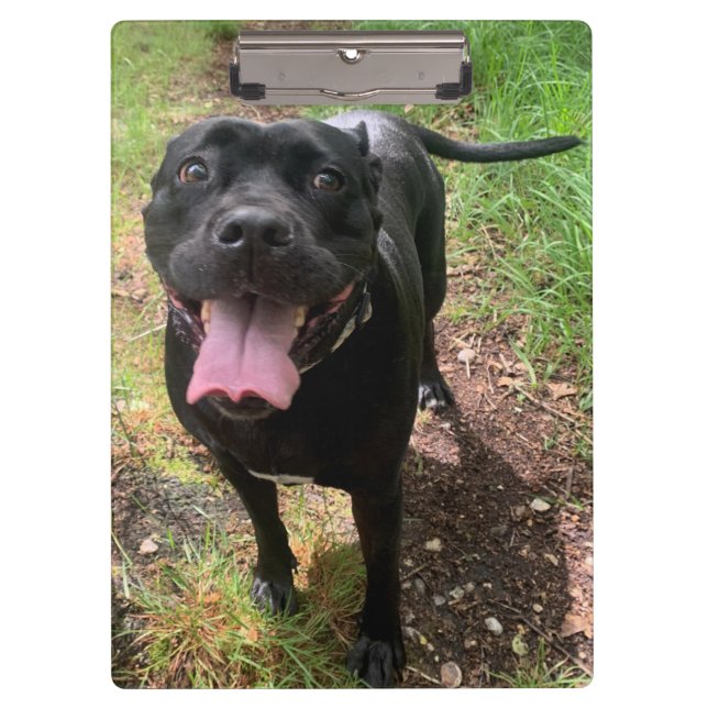 Porte-bloc Porte - bloc Cane Corso X (Devant)