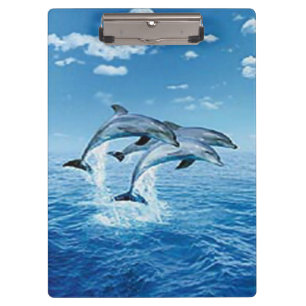 Porte-bloc Porte - bloc dauphins