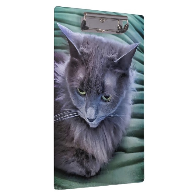 Porte-bloc Porte - bloc de chat gris vert (Swatch)