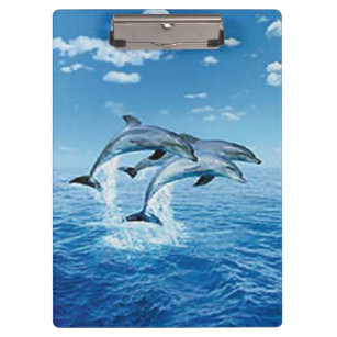 Porte-bloc Porte - bloc de dauphins