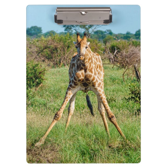 Porte-bloc Porte - bloc Giraffe (Devant)