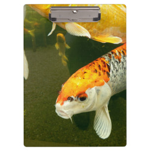 Porte-bloc Porte - bloc Koi Carp