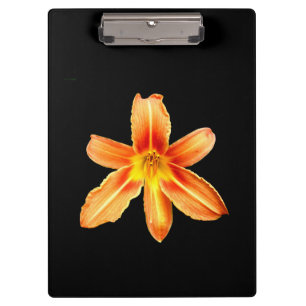 Porte-bloc Porte - bloc Lily de tigre orange