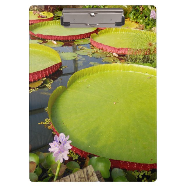 Porte-bloc Porte - bloc Lily Pond (Devant)