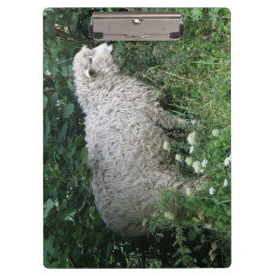 Porte-bloc Porte - bloc mignon gourmand