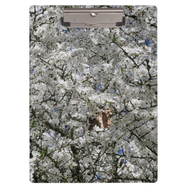 Porte-bloc Porte - bloc Mirabelle Blossom (Devant)