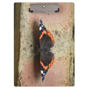 Porte-bloc Porte - bloc papillon de l'amiral rouge