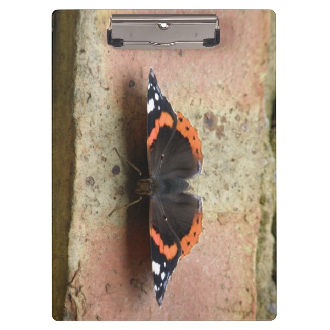 Porte-bloc Porte - bloc papillon de l'amiral rouge (Devant)