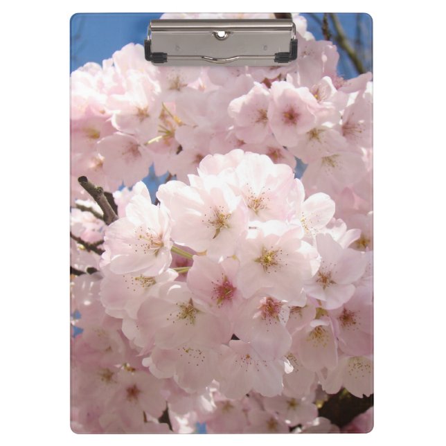 Porte-bloc Porte-documents Fleurs de Cerisier Rose Pastel Bur (Devant)
