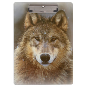Porte-bloc Porte-documents/Loup