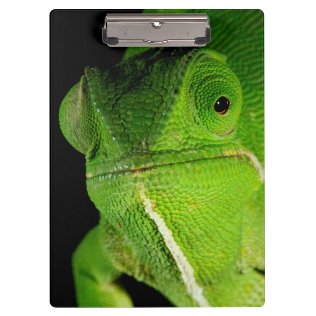 Porte-bloc Portrait de caméléon à cou plat (Devant)