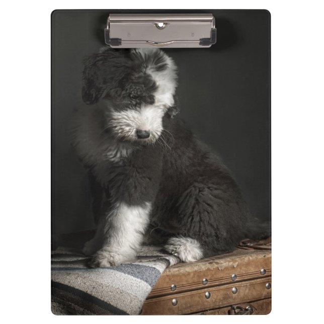 Porte-bloc Portrait de chiot de queue écourtée dans le studio (Devant)