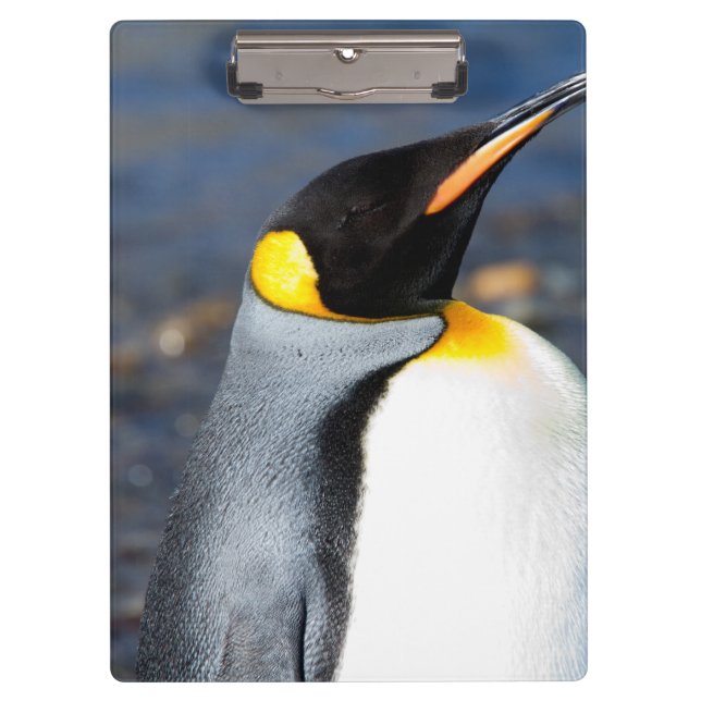 Porte-bloc Portrait de pingouin (Devant)