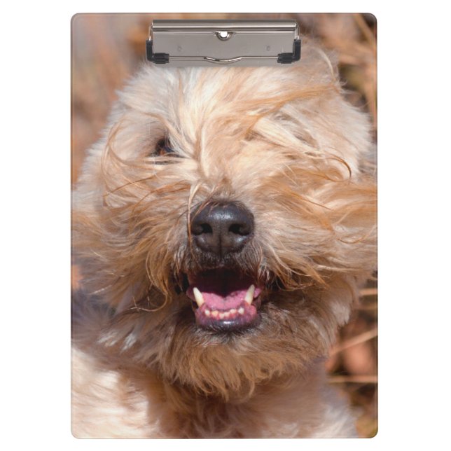 Porte-bloc Portrait de Soft Coated Wheaten Terrier (Devant)
