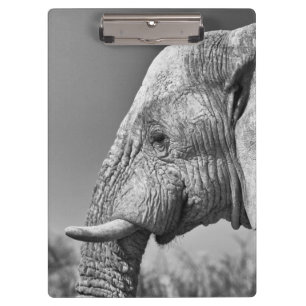Porte-bloc Portrait d'éléphant