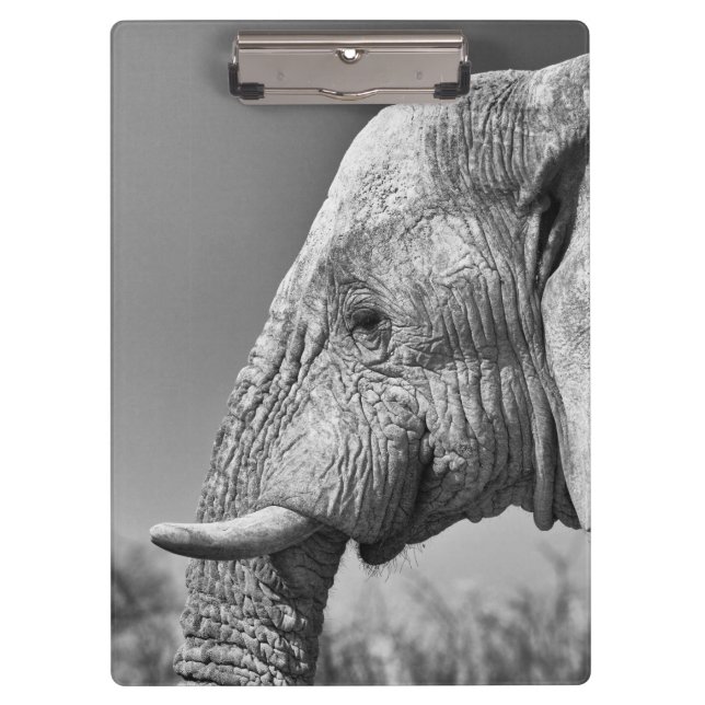 Porte-bloc Portrait d'éléphant (Devant)