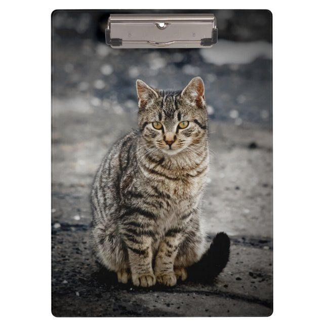 Porte-bloc Portrait d'un chat (Devant)