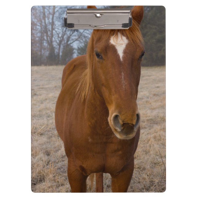 Porte-bloc Pose de cheval (Devant)