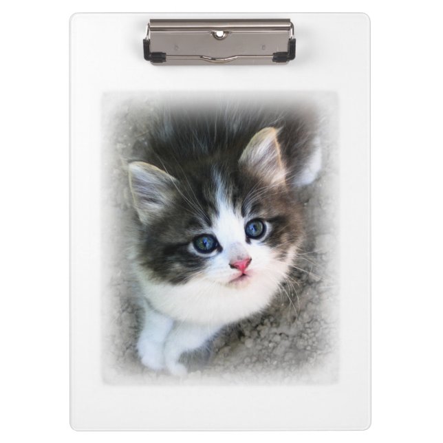Porte-bloc Pour l'amour des chats errants (Devant)